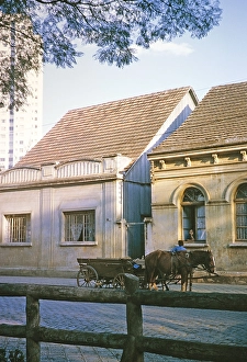 Street scene with horse and cart, city of Curitiba, state of Parana, south-east Brazil 1962