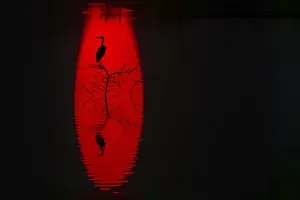 A striking silhouette of a heron perched on a tree against a vibrant red background reflected in water of sun at sunset