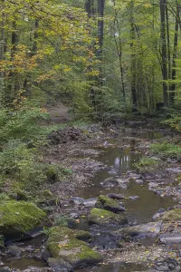 Strobnitz river in early autumn
