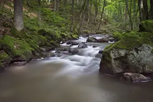 Strohner Schweiz, Daun, Volcanic Eifel