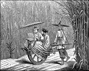Stroll of distinguished ladies in China