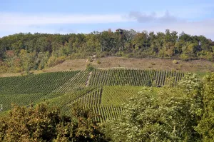 Stromberg area near Vaihingen Enz