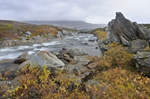 Stropla stream in Dovrefjell Sunndalsfjella National Park