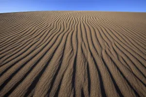 Structures in the sand, dunes of Maspalomas