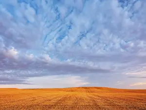 Stubble field under an atmospheric sky in the last evening light