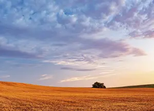 Stubble field under an atmospheric sky in the last evening light