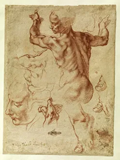 Studies for the Libyan Sibyl (recto)