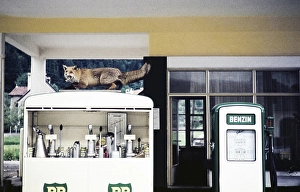Stuffed fox on BP petrol pump at petrol station, Landeck, Tyrol, Austria, Europe 1960, Europe