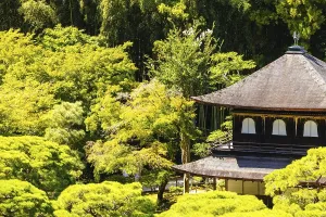 The stunning architecture and gardens at Silver Pavillion Ginkakuji temple in Kyoto