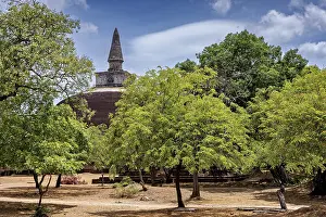 Stupa behind lush green trees on a clear day