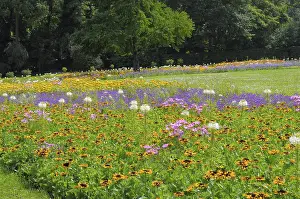 Stuttgart : Killesberg, flowerbeds in summer