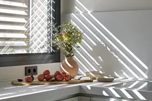 A stylish kitchen displays a natural light setting