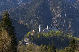 A sublime castle lies nestled in dense forests on a mountain