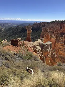 Sublime red stone pillars surrounded by green vegetation and sweeping views across the countryside