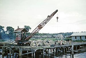 Subtitle: Timber loading point on the Essequibo River, Guyana, West Indies, South America, 1960 1961, then colony of British Guiana, South America