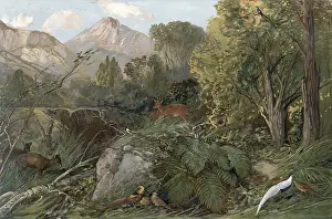 Subtropical forest area in southeast China