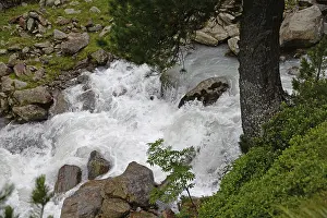 Sulzbach, Stubai Valley, Stubai