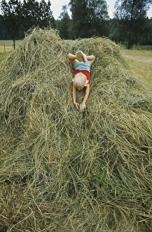 Summer in the 1970s. A picture from a decade when there still were people farming their land in a small scale
