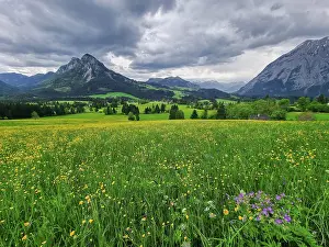 Summer austrian landscape with green meadows and impressive mountains