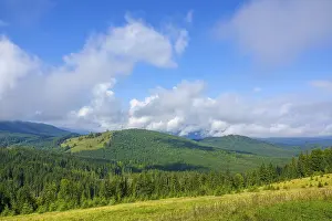 Summer in the forested mountains