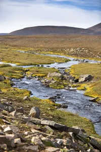 Summer Iceland Landscape with River