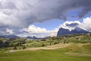 Summer pastures in the Alpe di Siusi area