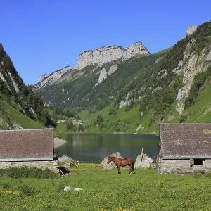Summer scene at lake Fahlensee