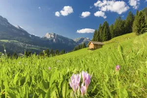 Summer view over fields and mountain hut in the Dolomites of the Fassa Valley