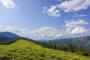 Summer wooded mountains. Sunny day