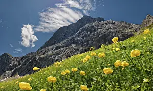 A summery mountain landscape with blue sky