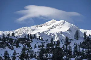 Summit of Monte Cevedale, snow-covered mountain landscape