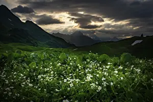 Summit in the morning light with dramatic clouds and anemone in the foreground