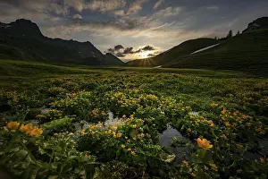 Summit in the morning light with dramatic clouds and marsh marigolds (Caltha) with stream in the foreground
