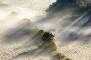 Sun rays in fog on a field