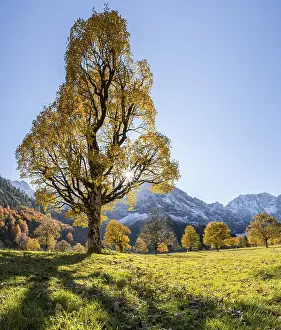Sun star, Karwendel and Grosser Ahornboden in autumn