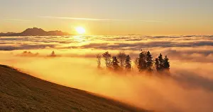Sunbeams shining in the mist through a forest in the back Pilatus in the light of the setting sun
