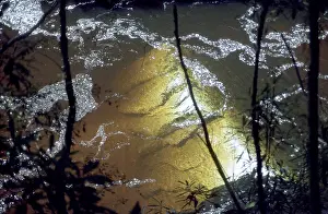 Sunlight in a tannic, therefore brown river