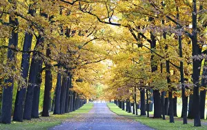 A sunny October morning and a walk in Catherine's Park in Tsarskoye Selo