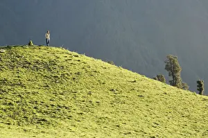 Sunray falling on person standing green meadow