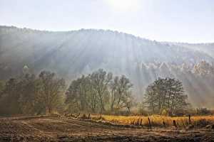 Sunrays shining through haze, autumn landscape