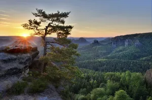 Sunrise at Kleiner Winterberg, pine on sandstone rocks