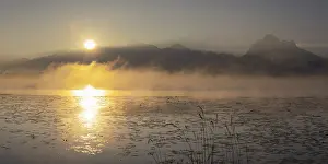 Category Mountain Landscapes Prints: Sunrise at Lake Hopfensee near Fuessen