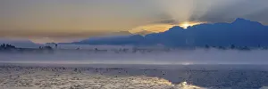 Category Mountain Landscapes Prints: Sunrise at Lake Hopfensee near Fuessen