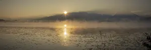 Category Mountain Landscapes Prints: Sunrise at Lake Hopfensee near Fuessen