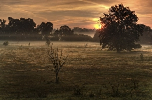 Sunrise in late summer in the Hainberg nature reserve near Fuerth