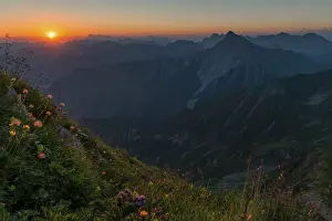 Sunrise over Lechtal Alps with flower meadow in the foreground