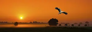 Sunrise - Panorama
