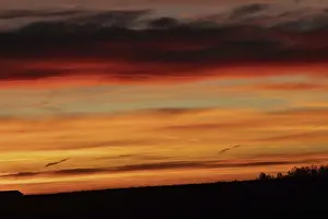 Sunrise reddish-brown cloud structures