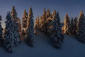 Category Mountain Landscapes Prints: Sunrise snow tour on the Tegelberg in the Allgaeu in Bavaria