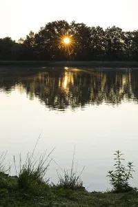 Sunrise at the upper pond in Rammenau